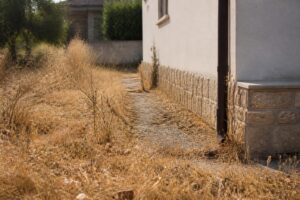 Erba secca vicino casa: il dettaglio da eliminare in estate per ridurre il rischio incendio