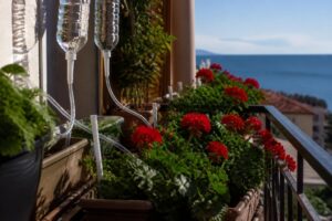Piante sul balcone durante le vacanze: il sistema semplice per non trovarle secche al ritorno